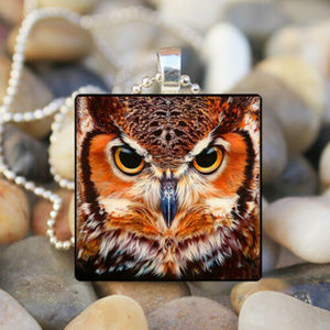Owl Cabochon Pendant Rich warm colors.